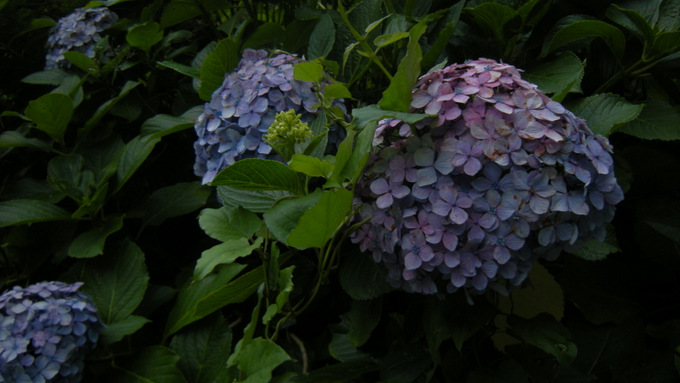 01-1
